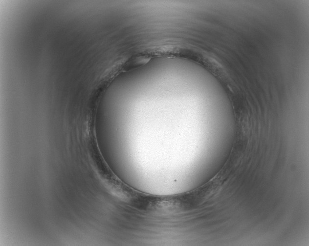 X0000063490546200602101836