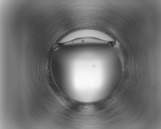 X0000063490548200602101836