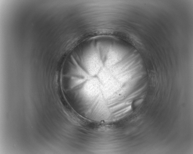 X0000063490550200602101836