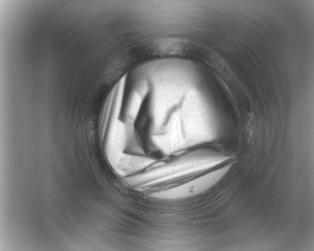 X0000063490551200602101836