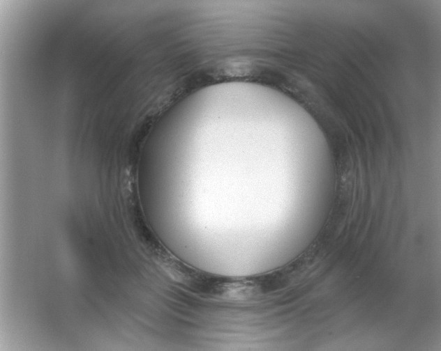 X0000063490555200602101836