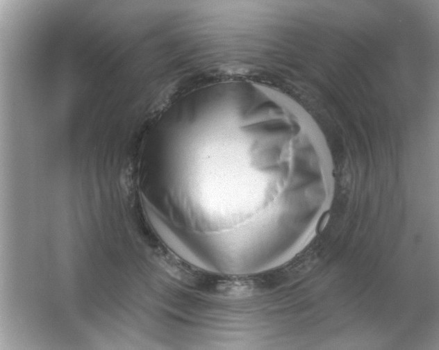 X0000063490559200602101836