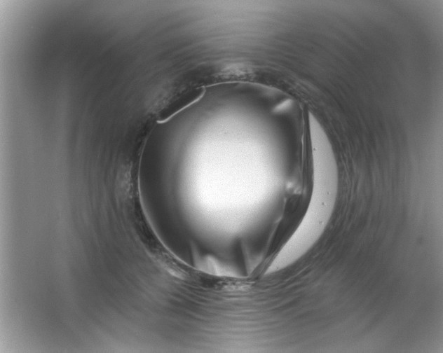 X0000063490560200602101836