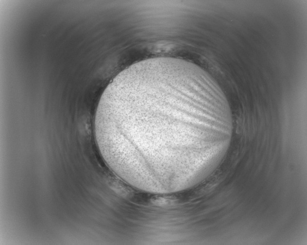 X0000063490561200602101836