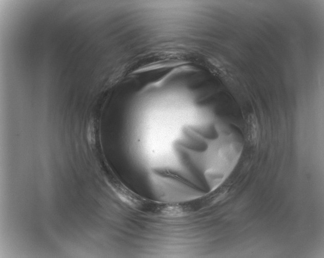 X0000063490562200602101836