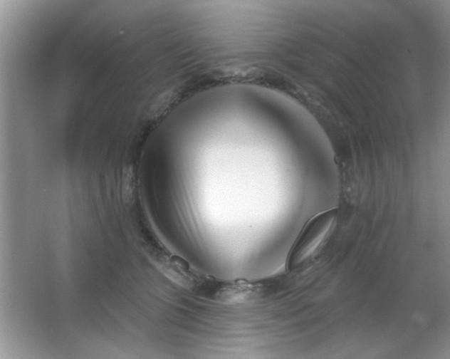 X0000063490563200602101836