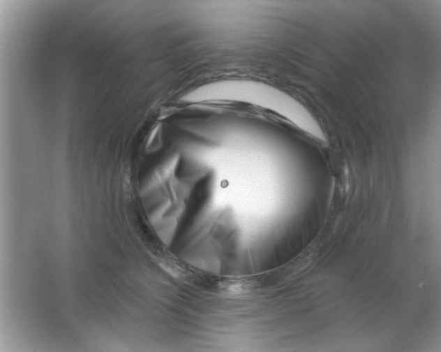 X0000063490564200602101836