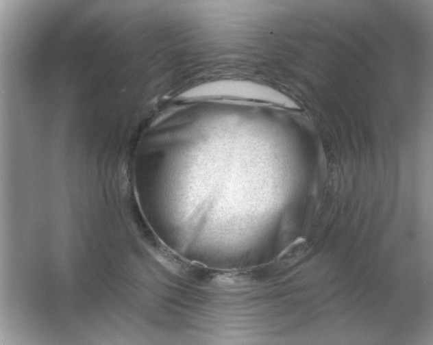 X0000063490568200602101836