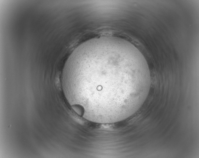 X0000063490573200602101836