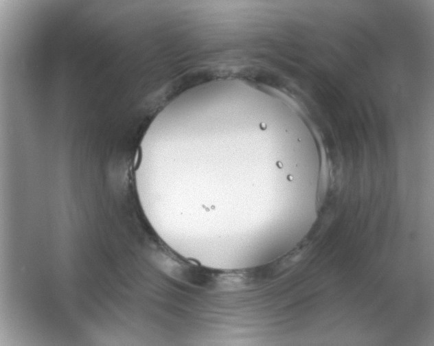 X0000063490574200602101836