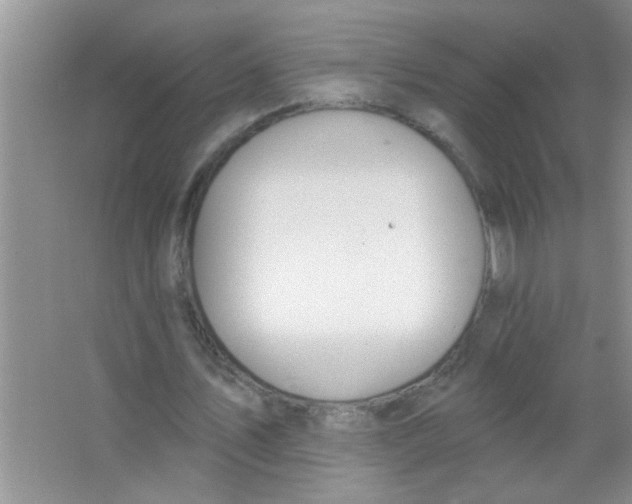 X0000063490579200602101835