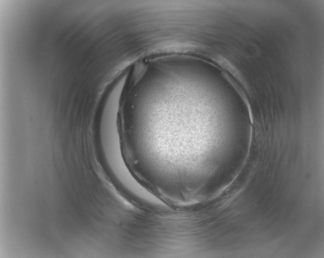 X0000063490581200602101835