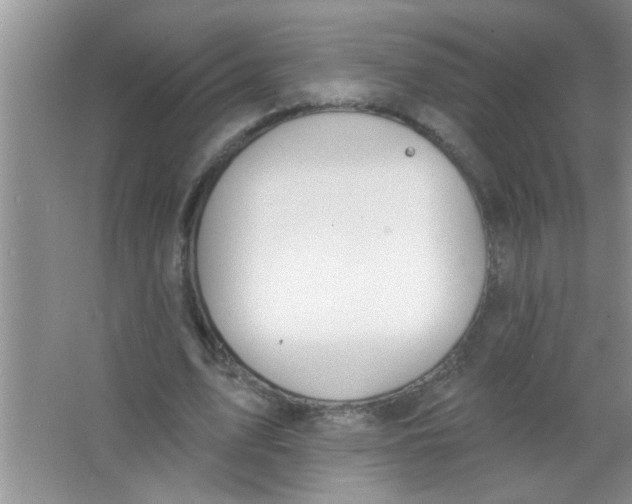 X0000063490583200602101835