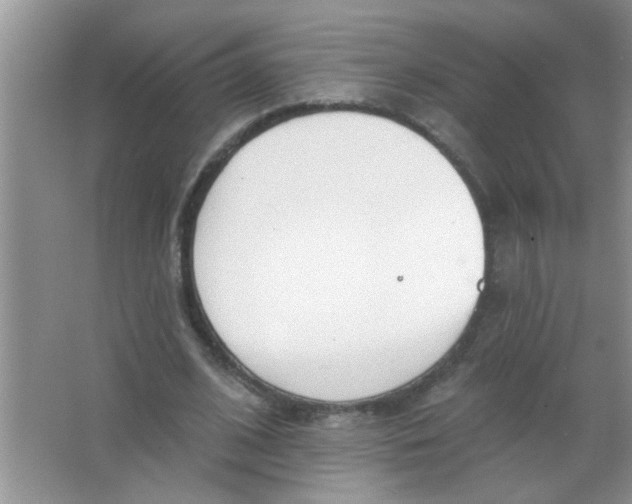 X0000063490584200602101835