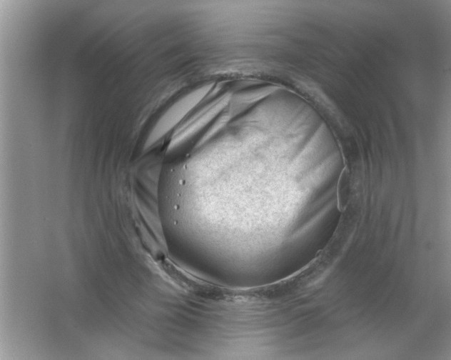 X0000063490585200602101835