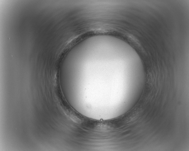 X0000063490596200602101835