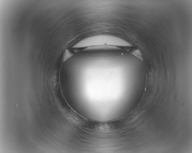 X0000063490600200602101835