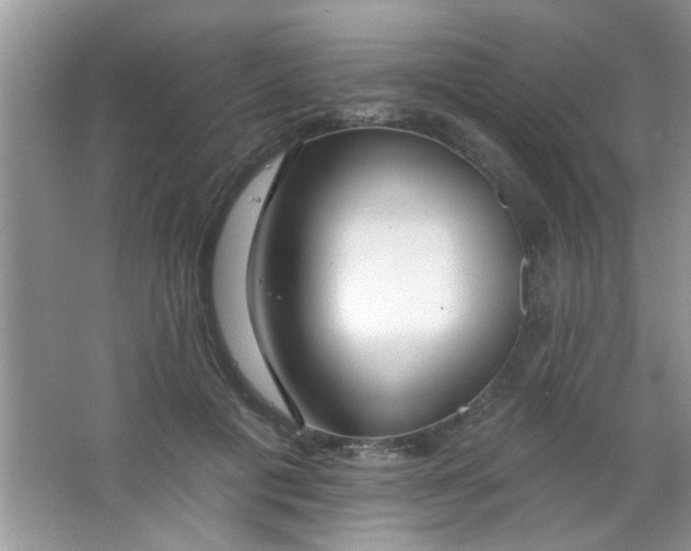 X0000063490601200602101835