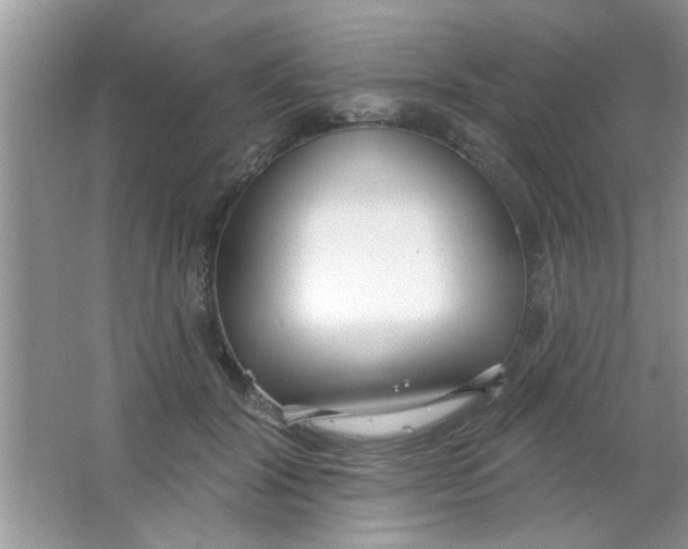 X0000063490604200602101835