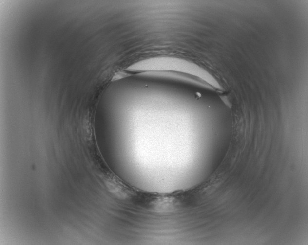 X0000063490609200602101835