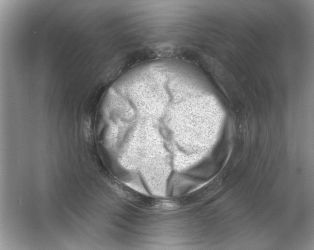 X0000063490610200602101835