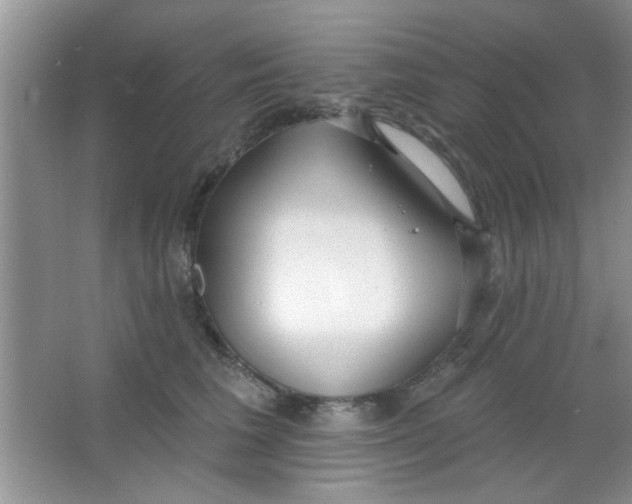 X0000063490613200602101835