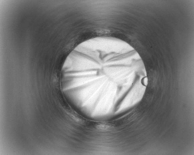 X0000063490614200602101835