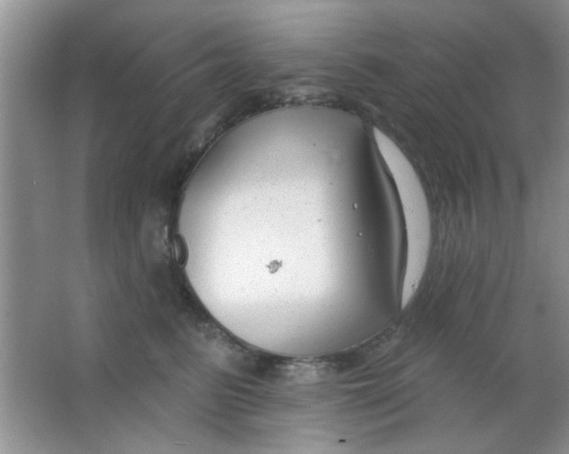 X0000063490615200602101835