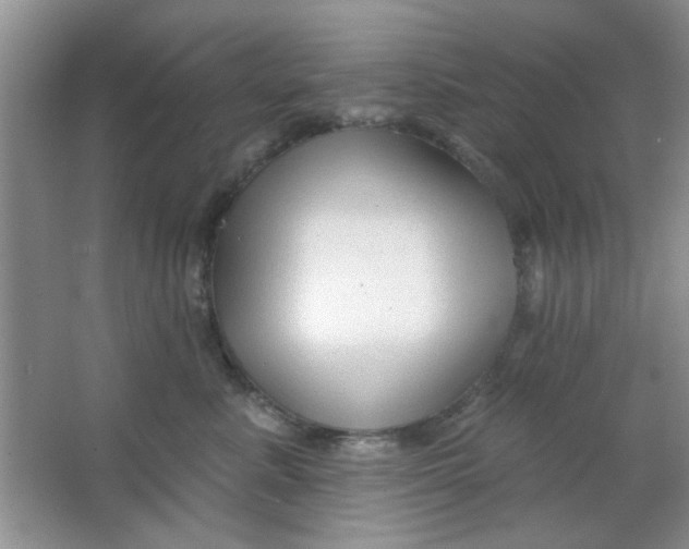 X0000063490619200602101835