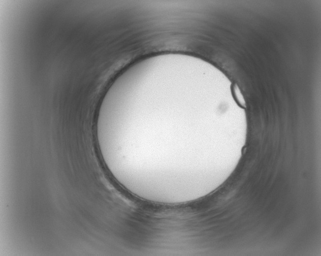 X0000063490625200602101834