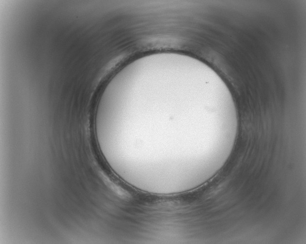 X0000063490629200602101834