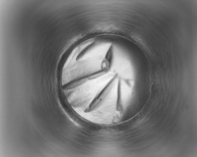 X0000063490630200602101834