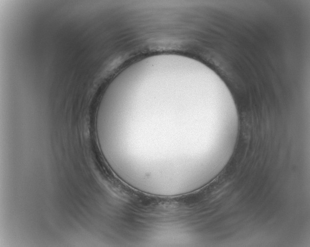 X0000063490631200602101834