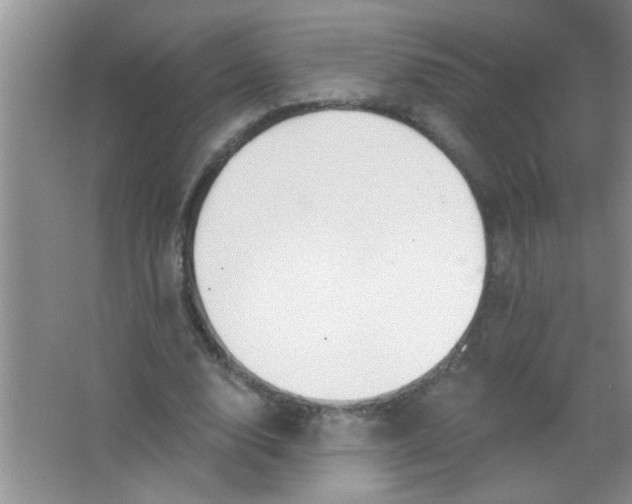 X0000063490632200602101834