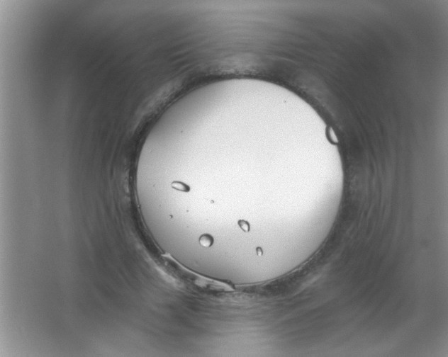 X0000063490633200602101834