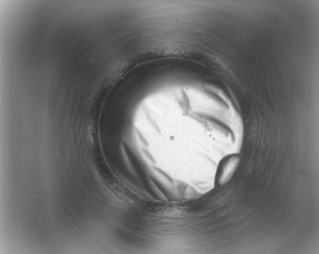 X0000063490643200602101834