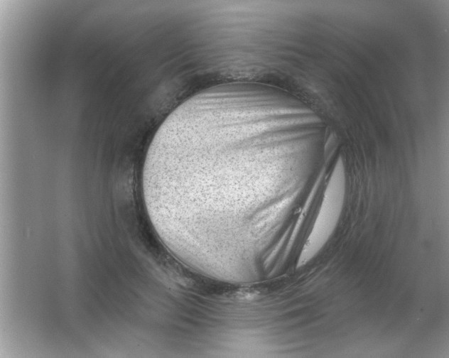 X0000063490647200602101834