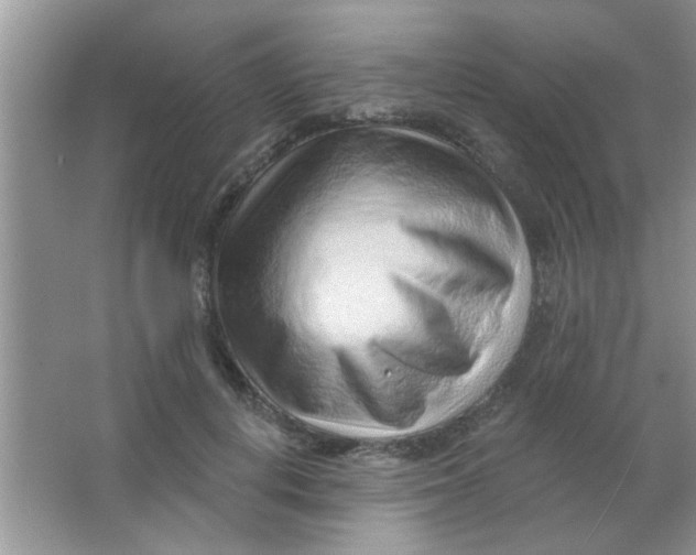 X0000063490648200602101834