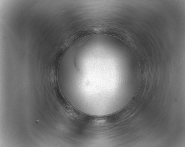 X0000063490651200602101834