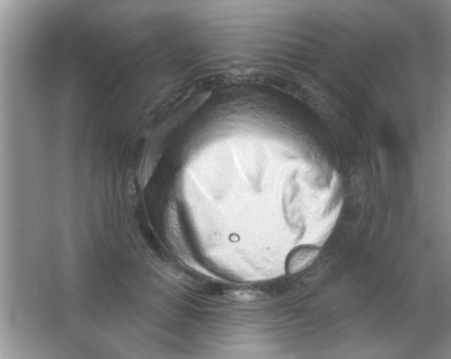 X0000063490654200602101834