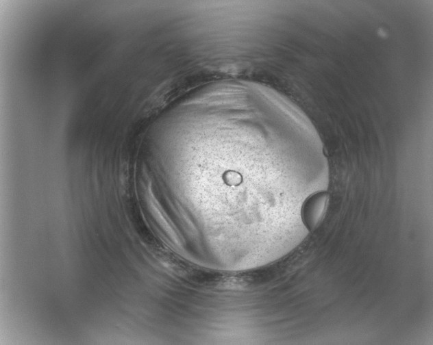 X0000063490656200602101834