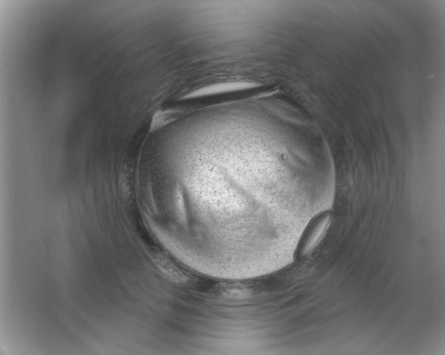 X0000063490658200602101834