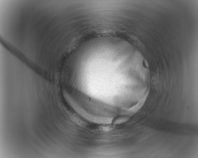 X0000063490662200602101834