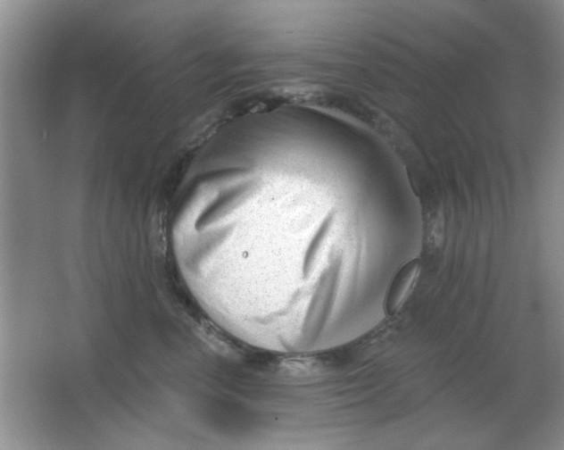 X0000063490666200602101834