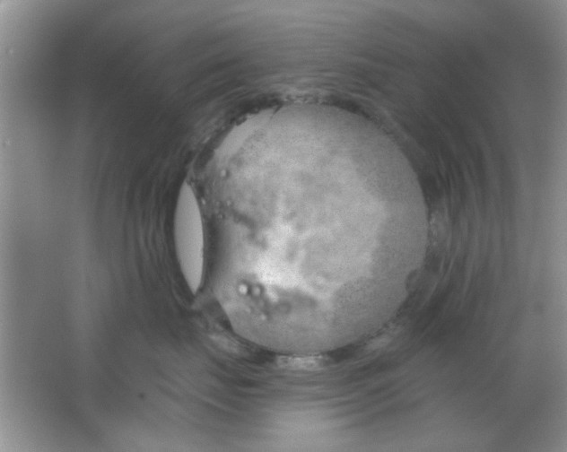 X0000063490671200602101835