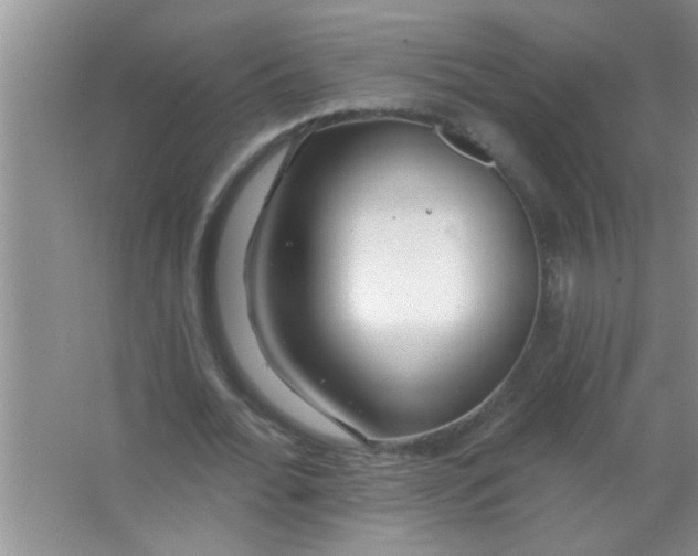 X0000063490676200602101834