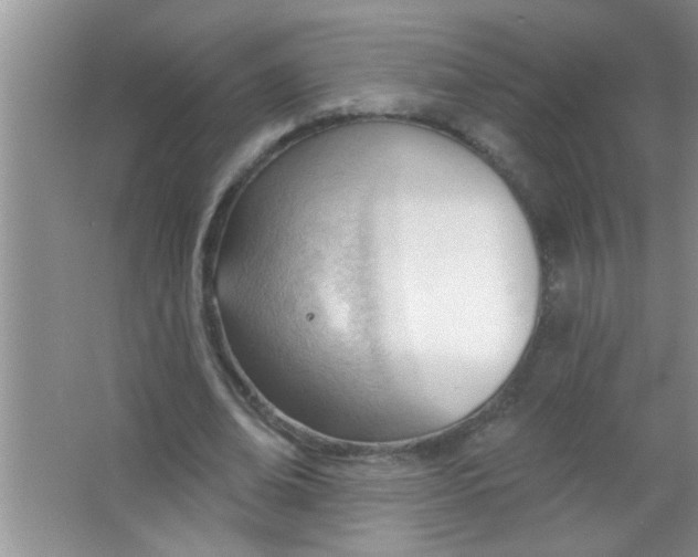 X0000063490678200602101834