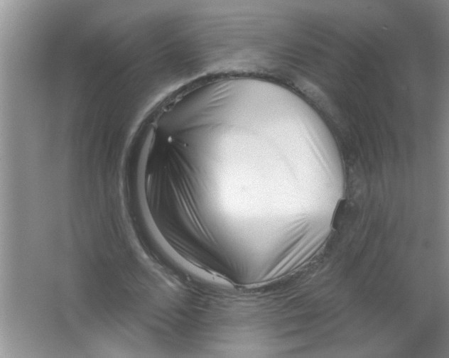 X0000063490680200602101834