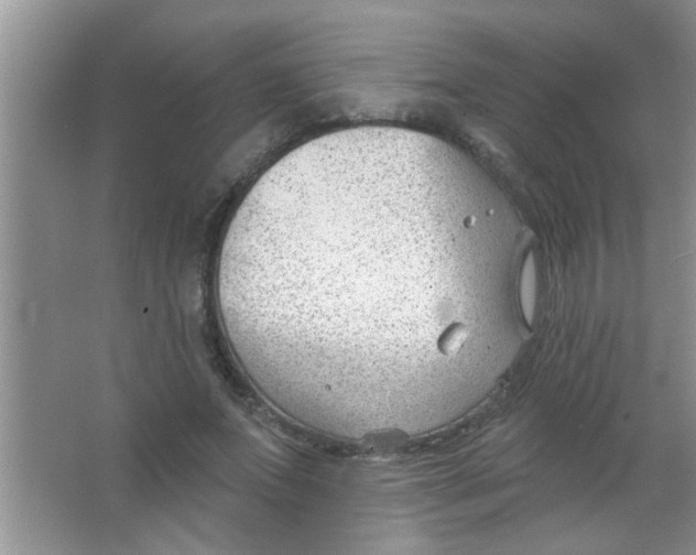 X0000063490687200602101834