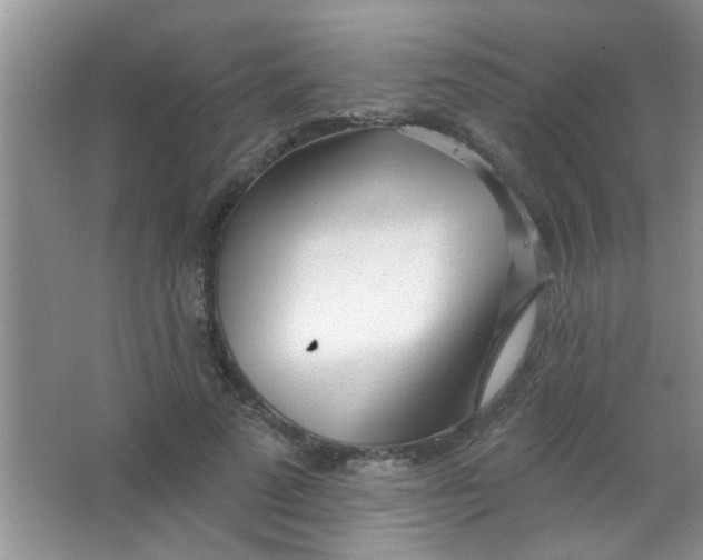 X0000063490689200602101833